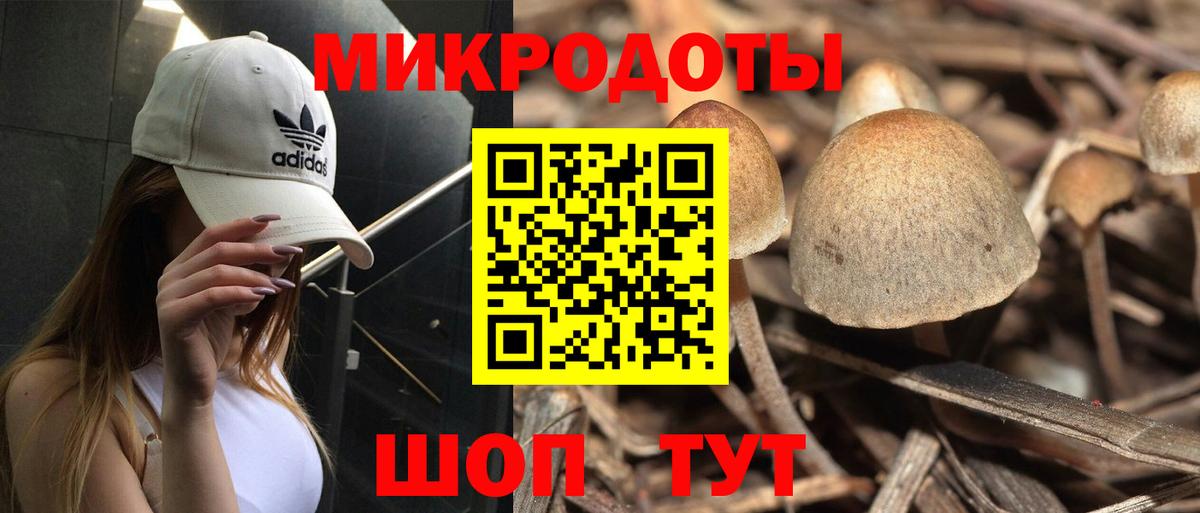 Псилоцибиновые грибы Cubensis  Галлюциногенные грибы Psilocybine cubensis  Вход с VPN  Луховицы 